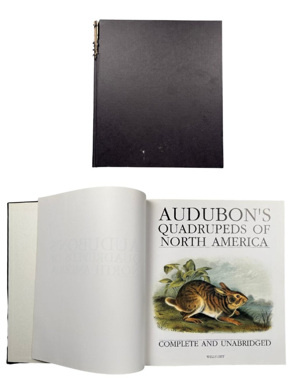 Audubon's Quadrupeds of North America Hardcover 1989